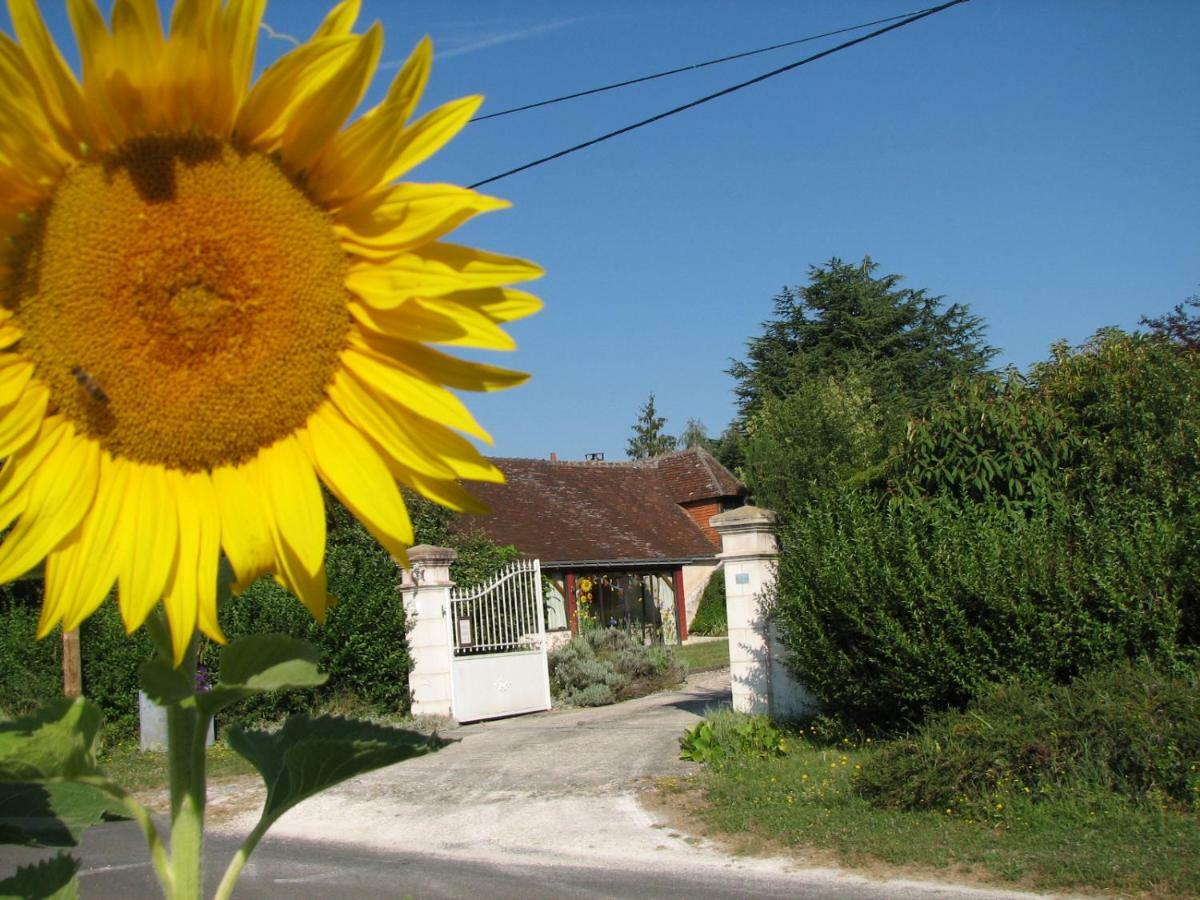 Le Clos Du Petit Marray Acomodação com café da manhã Chambourg-sur-Indre Exterior foto